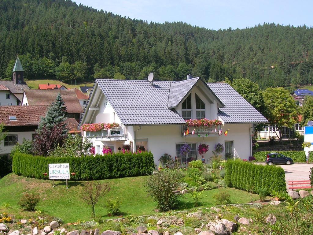 Gaestehaus Ursula Hornberg Ngoại thất bức ảnh
