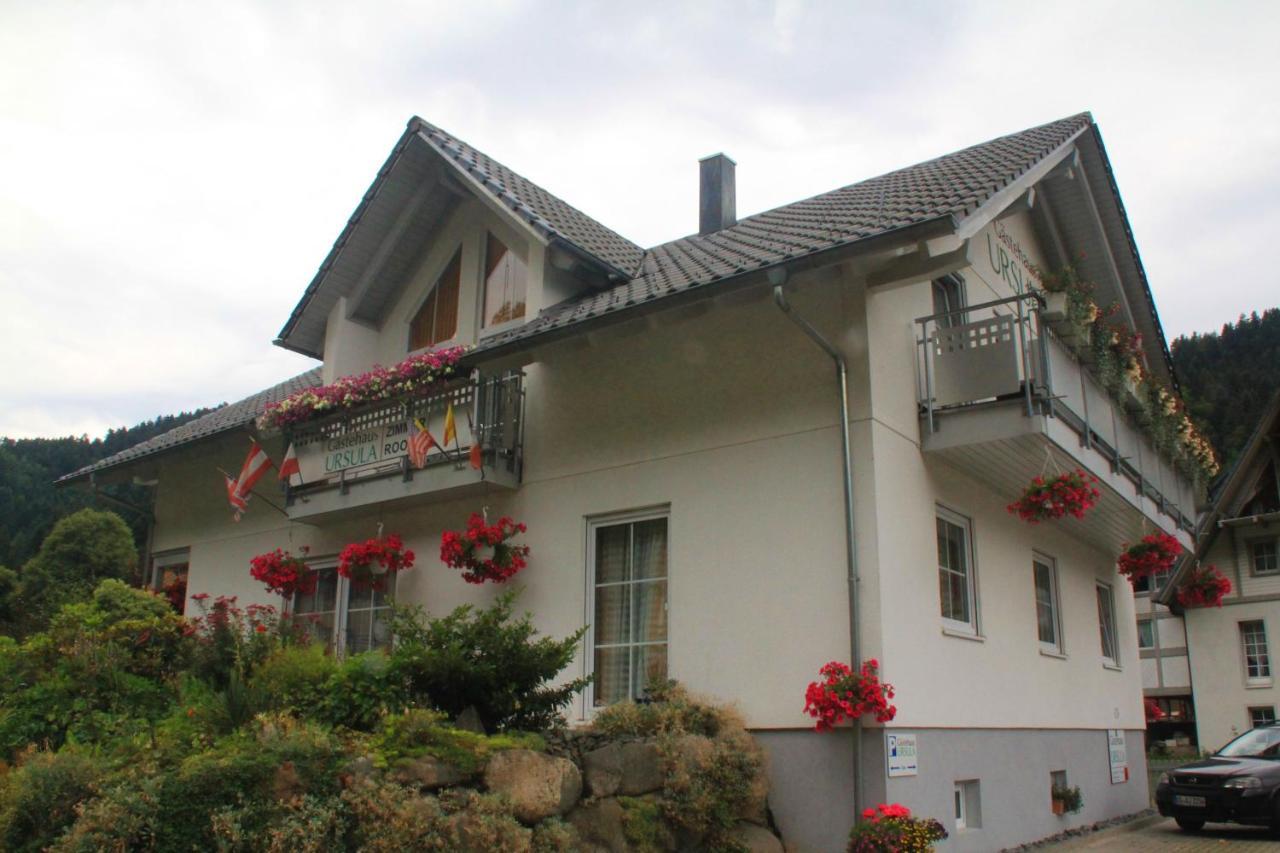 Gaestehaus Ursula Hornberg Ngoại thất bức ảnh